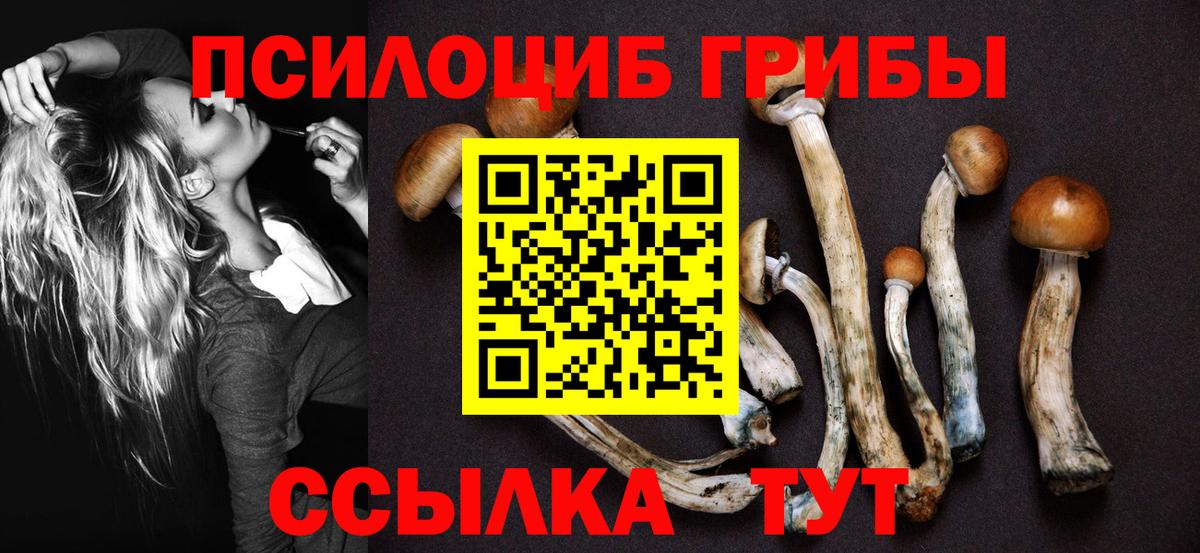 Псилоцибиновые грибы мухоморы  Вход с VPN  Зерноград 