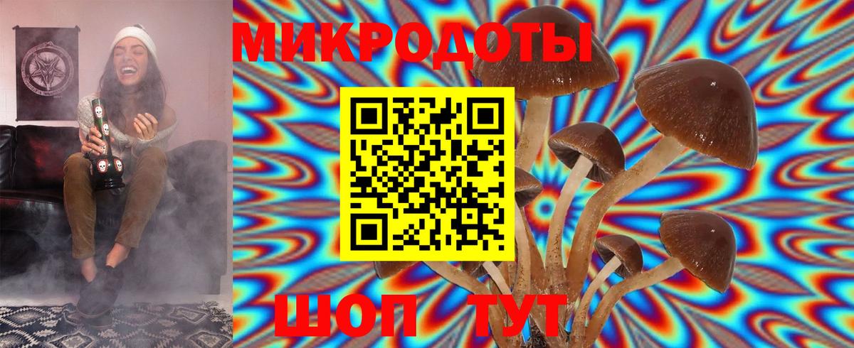 Галлюциногенные грибы мухоморы Зерноград